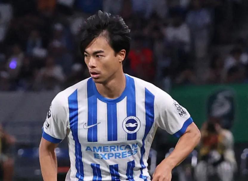专业BBIN·宝盈集团服务